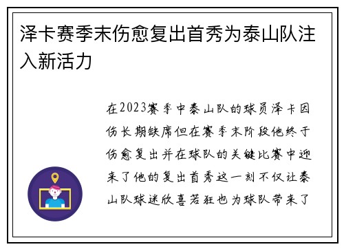 泽卡赛季末伤愈复出首秀为泰山队注入新活力